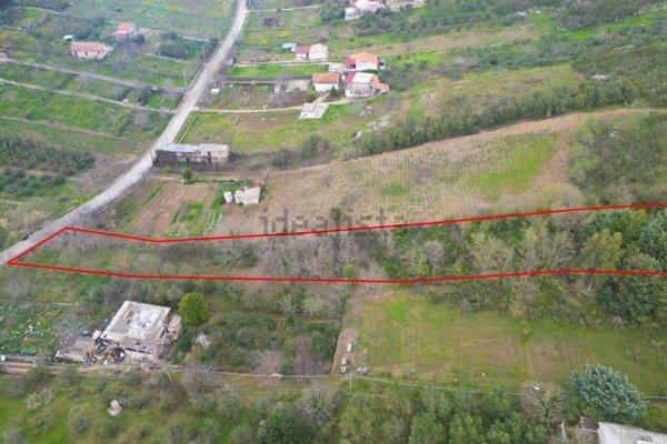 terreno agricolo in vendita ad Altofonte
