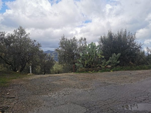 terreno in vendita ad Altofonte