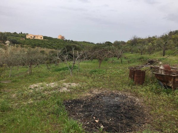terreno agricolo in vendita a Bagheria