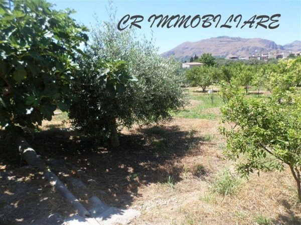 terreno agricolo in vendita a Bagheria