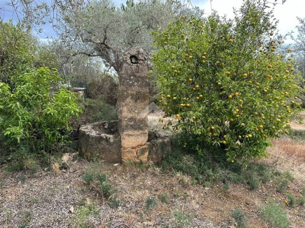 terreno agricolo in vendita a Bagheria