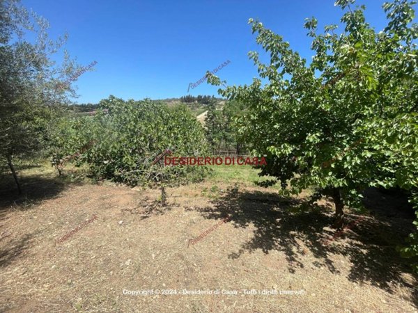 terreno agricolo in vendita a Bagheria