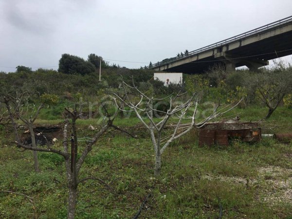 terreno agricolo in vendita a Bagheria