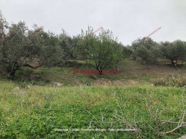terreno agricolo in vendita a Bagheria