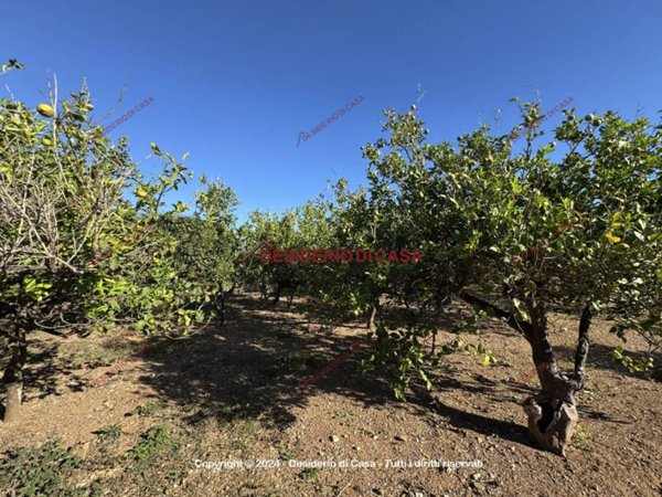 terreno agricolo in vendita a Bagheria