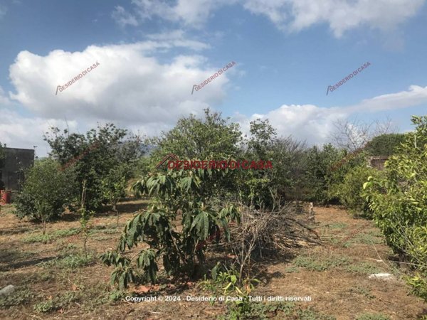 terreno agricolo in vendita a Bagheria