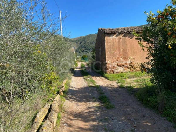 terreno agricolo in vendita a Bagheria