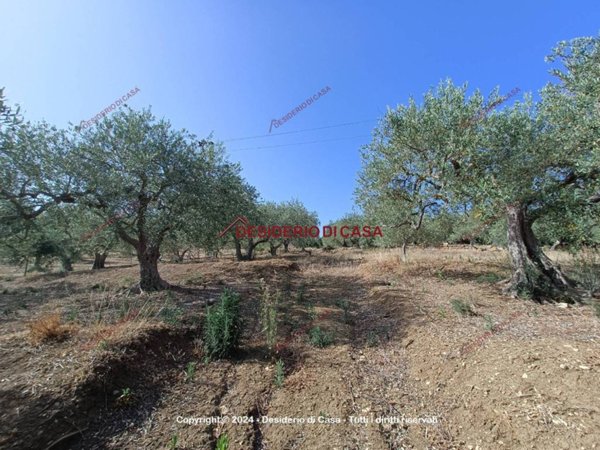 terreno agricolo in vendita a Bagheria