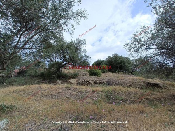 terreno agricolo in vendita a Bagheria