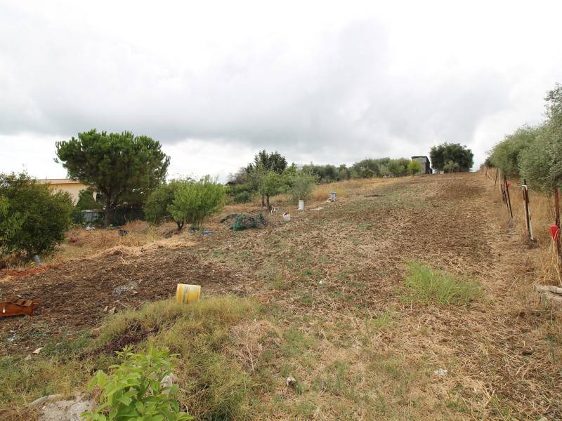 terreno agricolo in vendita a Bagheria