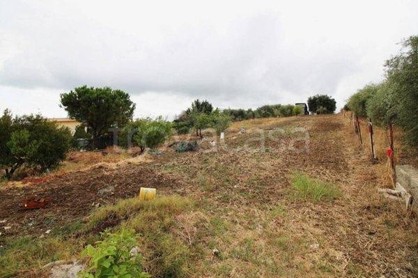 terreno agricolo in vendita a Bagheria