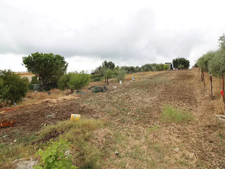 terreno agricolo in vendita a Bagheria