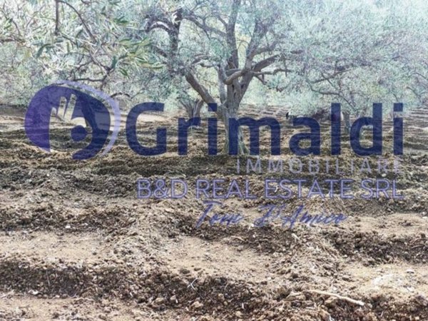 terreno agricolo in vendita a Bagheria