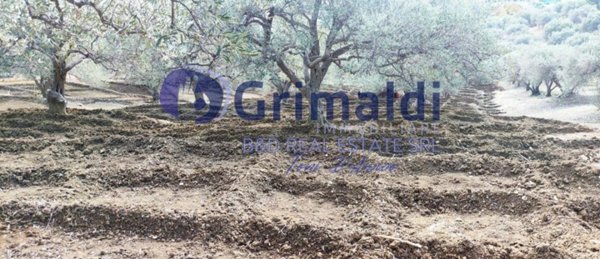 terreno agricolo in vendita a Bagheria