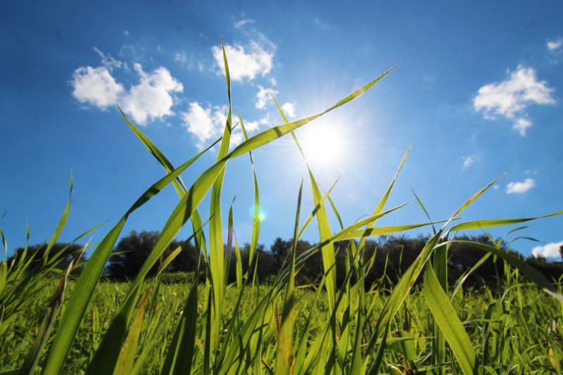 terreno agricolo in vendita a Bagheria