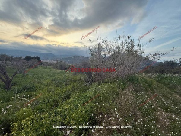 terreno agricolo in vendita a Bagheria