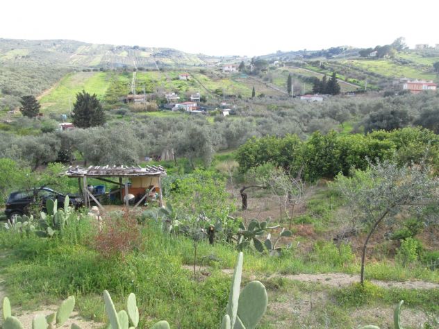 terreno agricolo in vendita a Bagheria