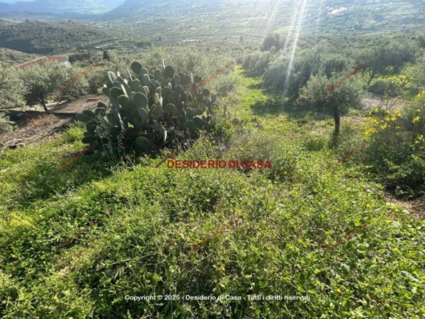 terreno agricolo in vendita a Bagheria