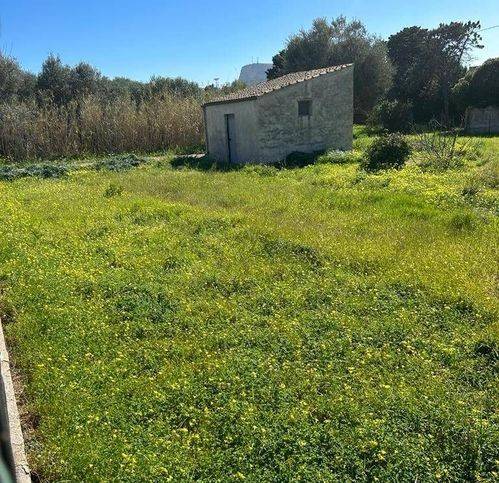 terreno agricolo in vendita a Bagheria in zona Aspra