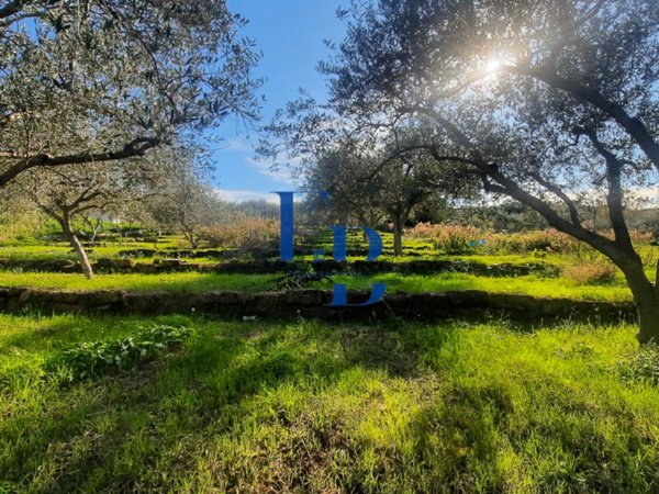 terreno agricolo in vendita a Bagheria