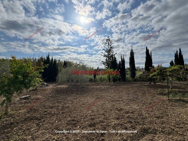 terreno agricolo in vendita a Bagheria