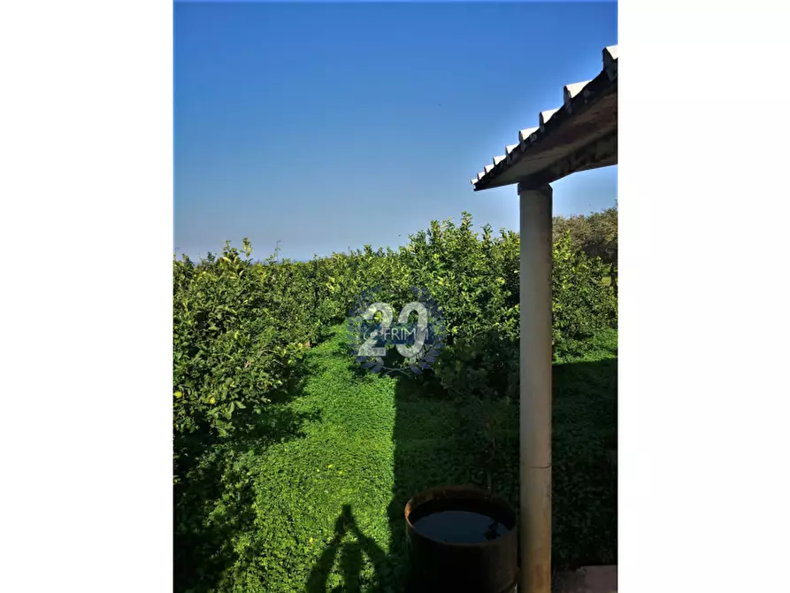 terreno agricolo in vendita a Bagheria