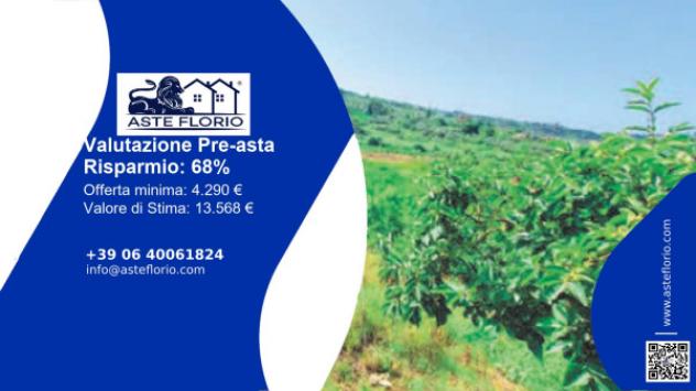 terreno agricolo in vendita a Bagheria