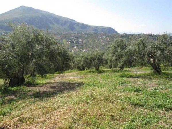 terreno agricolo in vendita a Bagheria