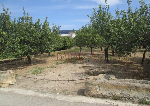 terreno agricolo in vendita a Bagheria