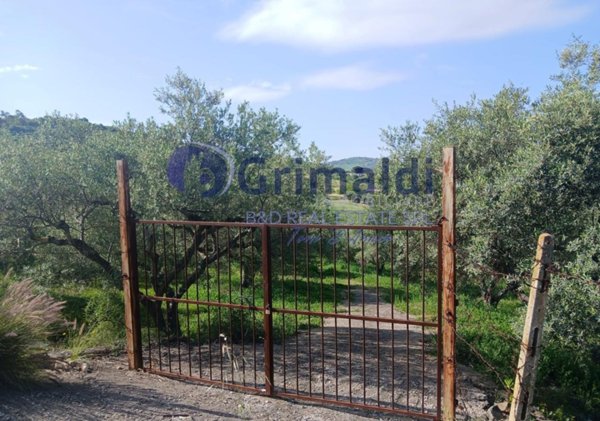 terreno agricolo in vendita a Bagheria
