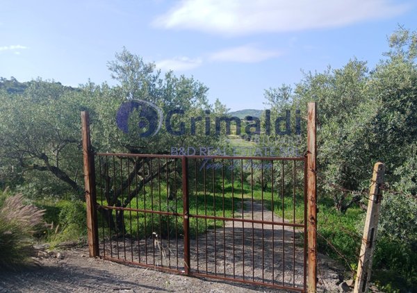 terreno agricolo in vendita a Bagheria