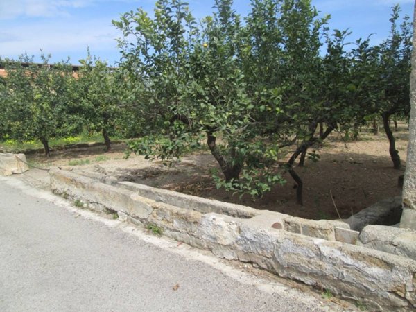 terreno agricolo in vendita a Bagheria