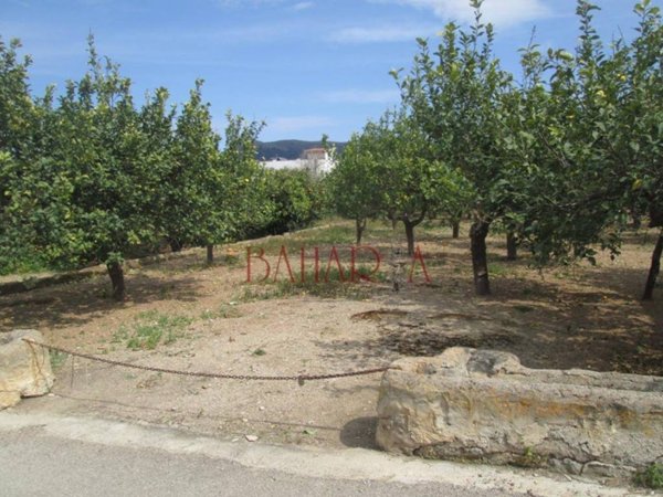 terreno agricolo in vendita a Bagheria