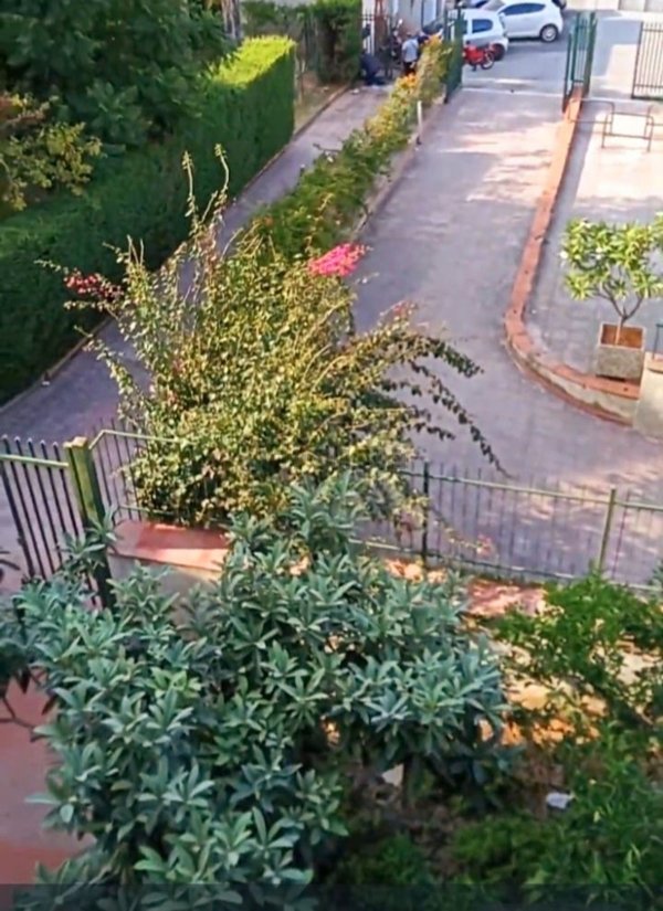 appartamento in vendita a Bagheria