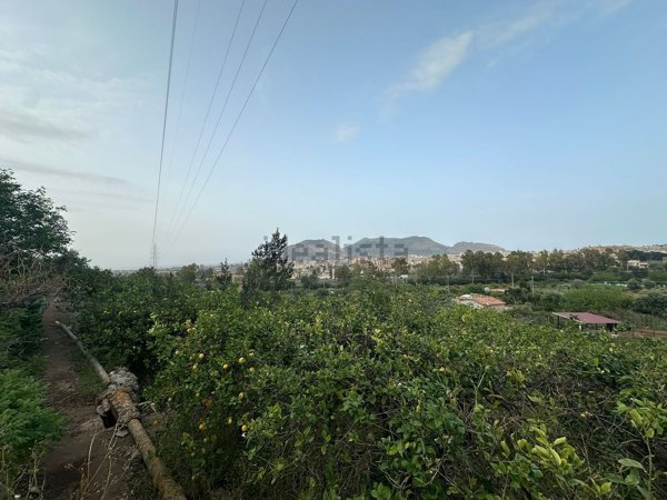 terreno agricolo in vendita a Bagheria