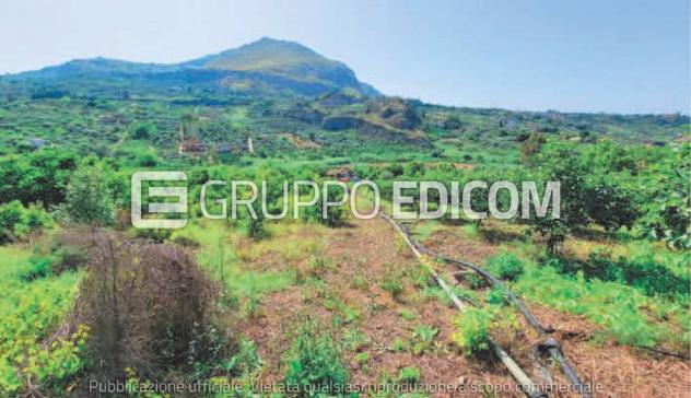 terreno agricolo in vendita a Bagheria