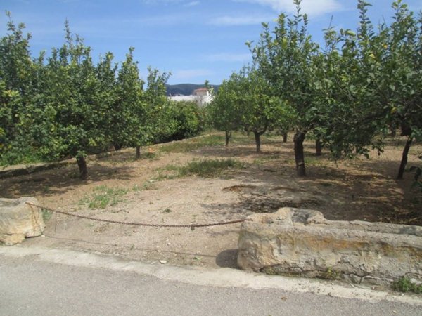 terreno agricolo in vendita a Bagheria