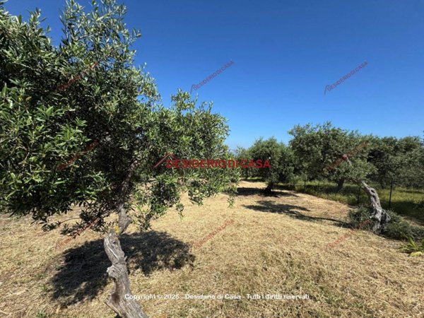 terreno agricolo in vendita a Bagheria