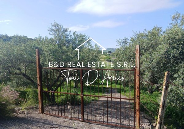 terreno agricolo in vendita a Bagheria