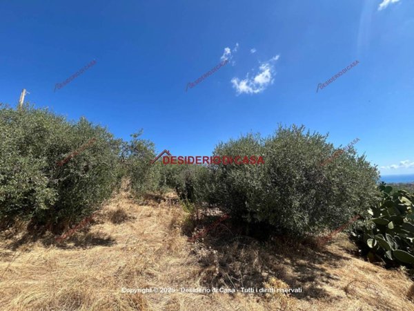terreno agricolo in vendita a Bagheria