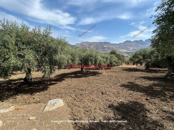 terreno agricolo in vendita a Bagheria