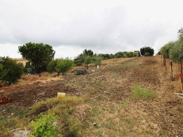 terreno agricolo in vendita a Bagheria