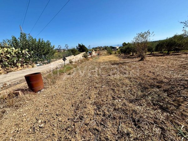 terreno agricolo in vendita a Bagheria