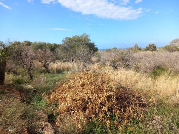 terreno agricolo in vendita a Bagheria in zona Centro Città