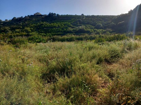 terreno agricolo in vendita a Bagheria in zona Campagnone