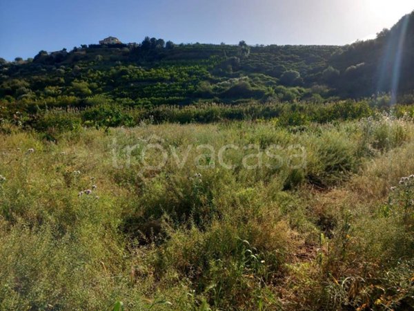terreno agricolo in vendita a Bagheria