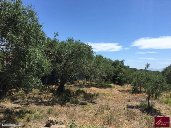 terreno agricolo in vendita a Bagheria