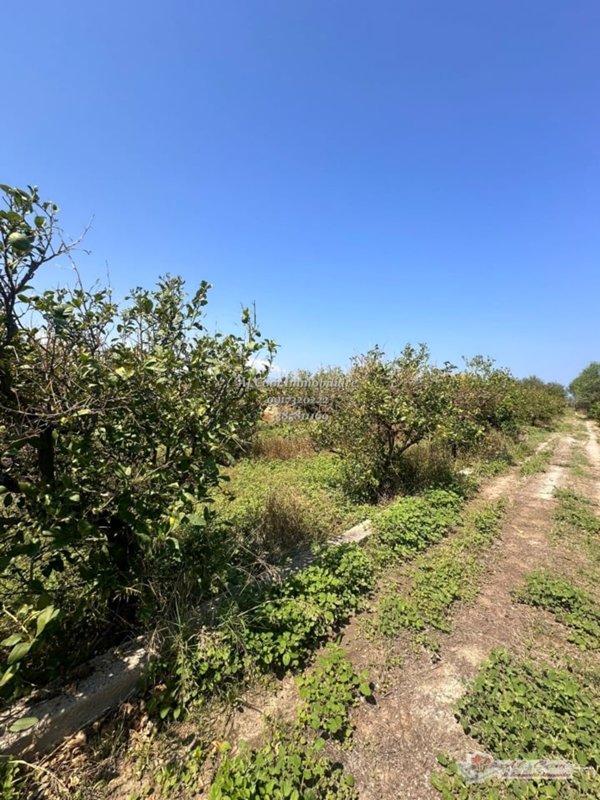 terreno agricolo in vendita a Bagheria