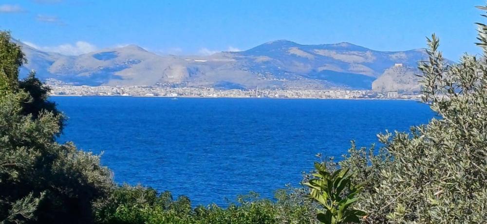 terreno agricolo in vendita a Bagheria in zona Mongerbino