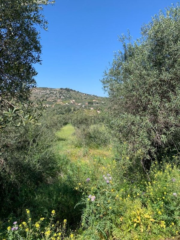 rudere in vendita a Bagheria